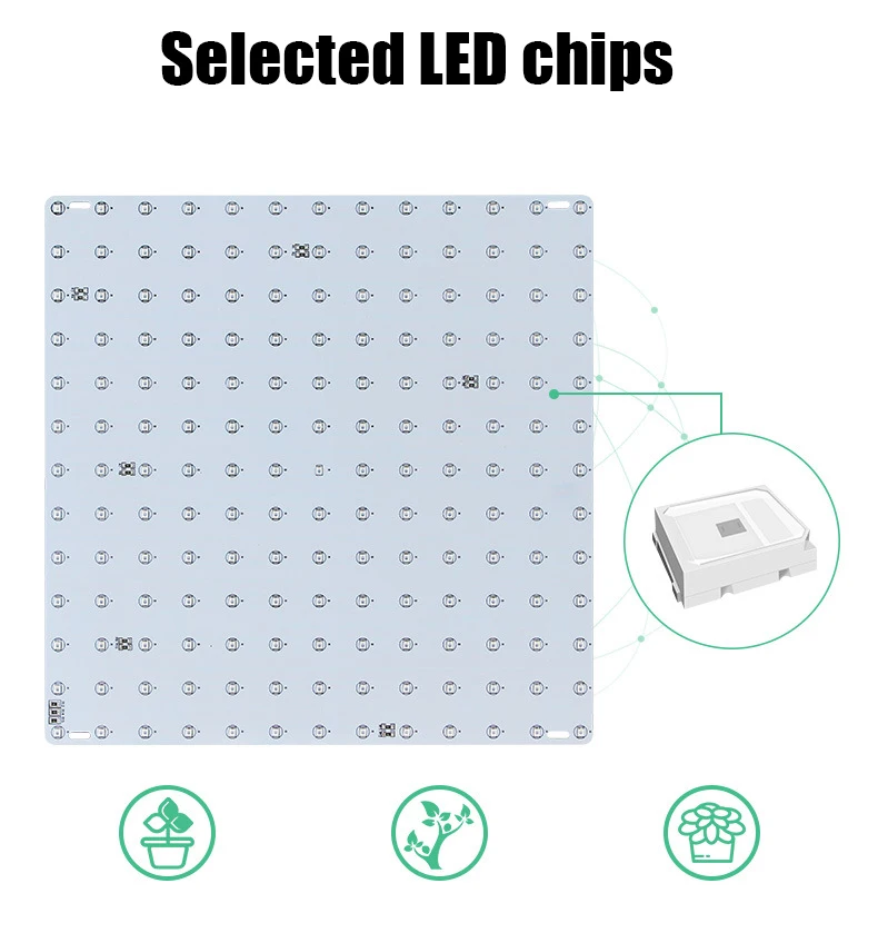 

Newly Indoor Plant Growth LED Light Promote Photosynthesisfor Germination Seedling Plant Growth and Flowering.