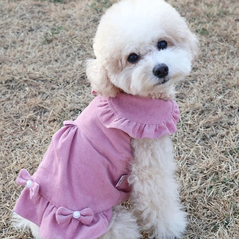 

Зимнее платье для собаки, раньше, костюм для щенка, платье для собаки с бантом, одежда для Йорка, померанского шиха, Tzu, бишона, пуделя