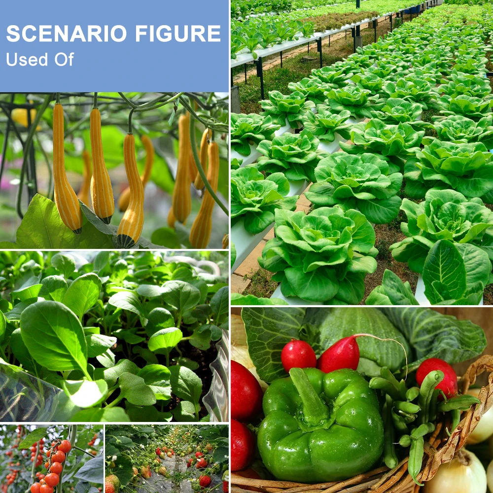 

5V Full Spectrum Plant Light LED Phyto Grow Lamp 1 2 3 Heads USB Bulb Hydroponic Lighting Vegs Cultivo Lamps Plant Growth Tent