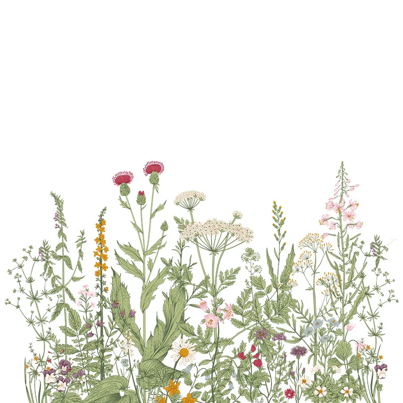 Птицы на проводе красочные тропический цветок Стикеры для растений стену