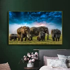 Животное Искусство Слон пастбище Картина на холсте настенные художественные плакаты принты настенные картины для гостиной дома Настенный декор