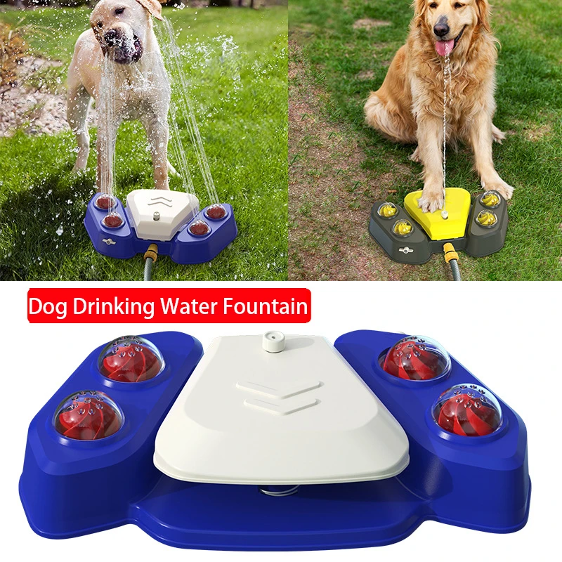 

Pet Products