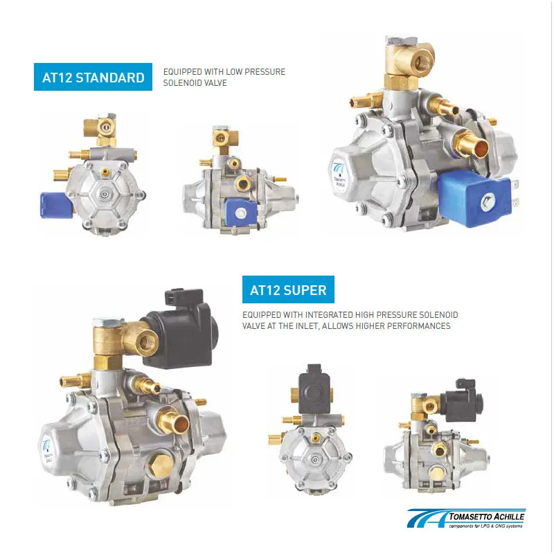 Сжатого природного газа Давление редуктор TOMASETTO модель AT12 Стандартный и Super с