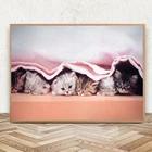 Печатная настенная Картина на холсте постер пять милых котят в скандинавском стиле Модульная картина для детской комнаты фон для кровати домашний декор