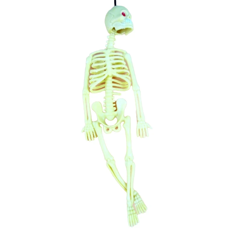 

3 Pcs Human Skull Skeleton Halloween Model Funny Tricks Key Chain Toy Game Props P15C