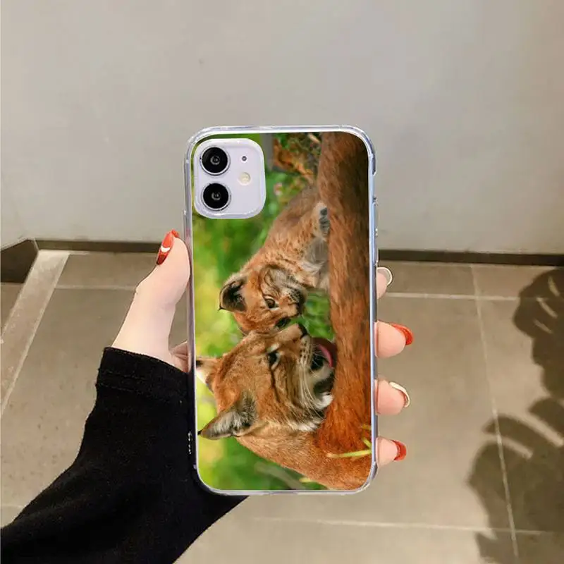 

African Lynx Caracal Big Cat Phone Case Transparent for iPhone 6 7 8 11 12 s mini pro X XS XR MAX Plus