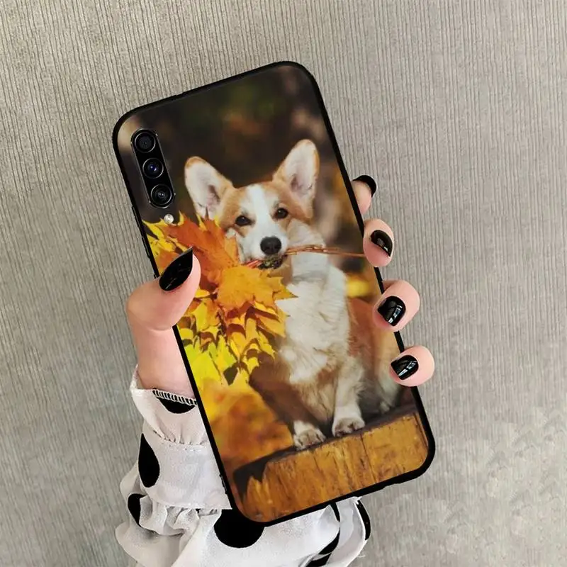 

Corgi cute animal dog Phone Case For Samsung Galaxy M10 20 30 A 40 50 70 71 6S A2 A6 A9 2018 J7 CORE PLUS STAR S10 5G C8
