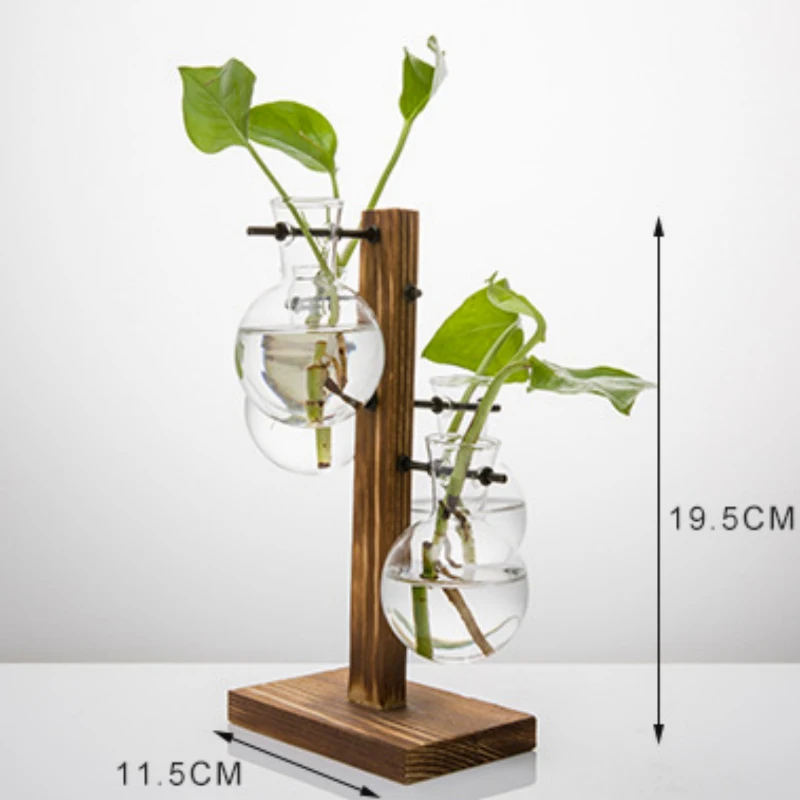 Гидропонная фотография Terrarium винтажный цветочный горшок прозрачная ваза