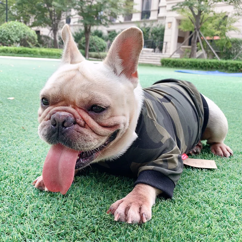 

French Bulldog Schnauzer Teddy Sweater Cat Clothes Crew Neck Camouflage Sweater Dog Two-legged Pet Clothing