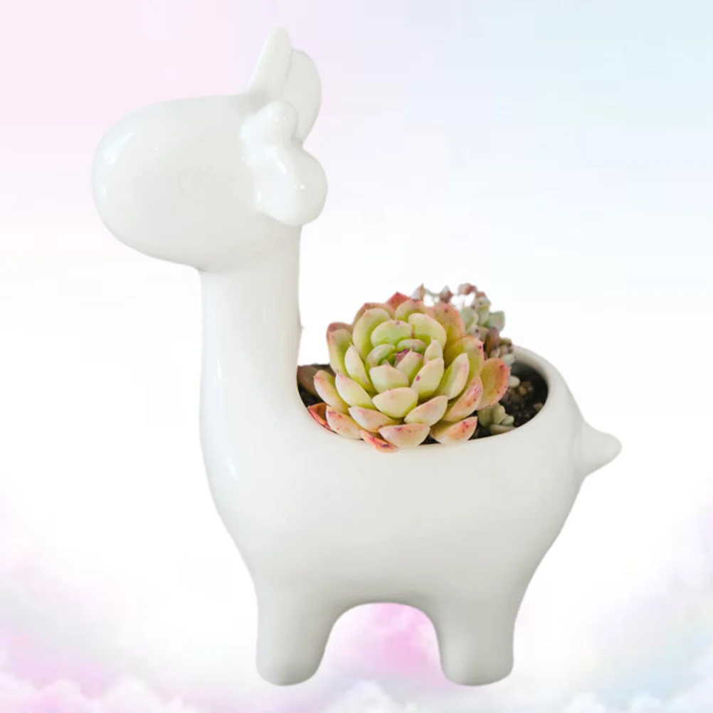 

Растительный контейнер для суккулентов, семейный цветочный горшок, настольное украшение бонсай без суккулентов, белый