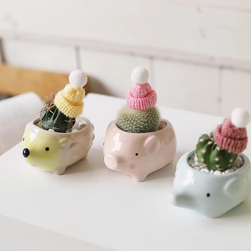 

Mini Animal Ceramic Pot Cute Hedgehog Pig Flowerpot Succulent Cactus Pot Home Decor Garden Accessories Office Decor Pots