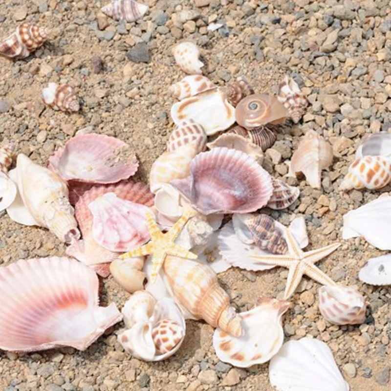 Средиземноморский стиль DIY раковины морской Свадебный декор винтажная мода пляж