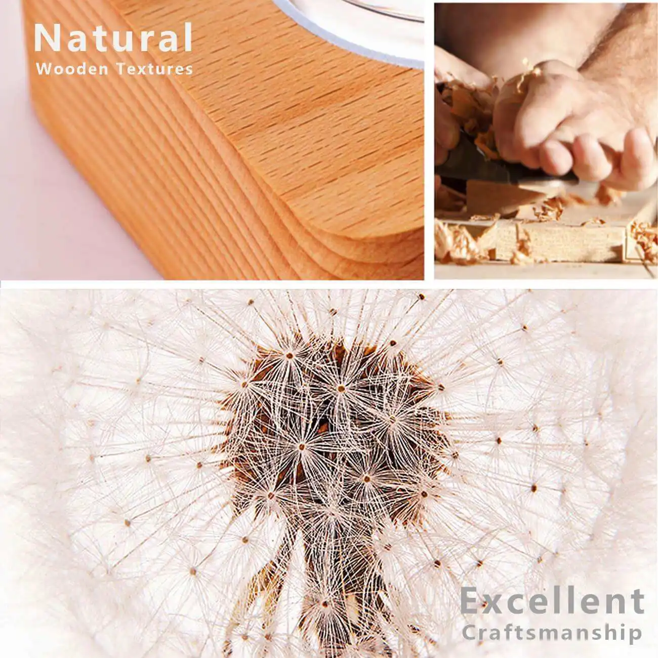 

Rechargeable Dried dandelion specimens LED Night Light ball Creative gifts for girls Car decorations and ornaments