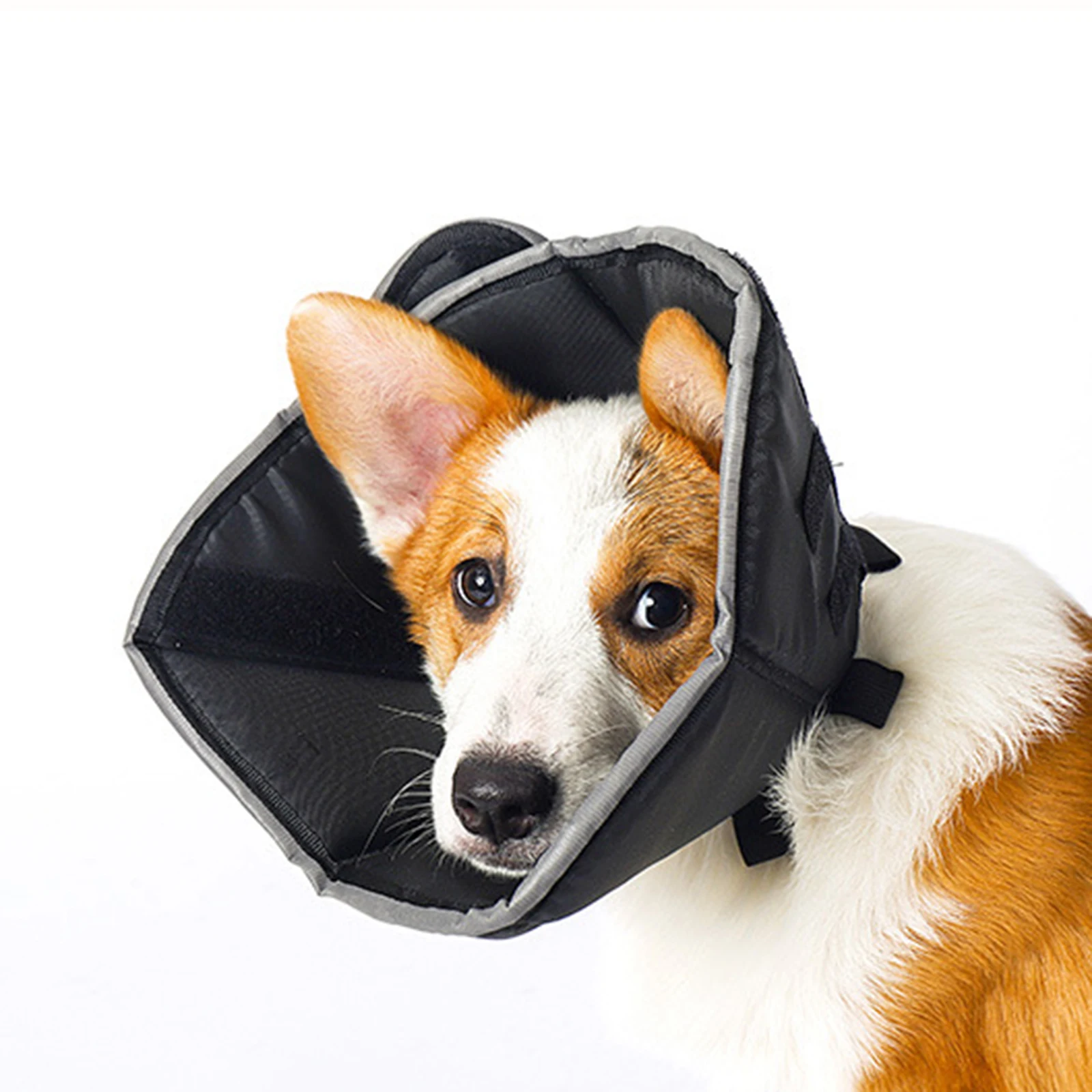 

Регулируемый ошейник для собак и кошек