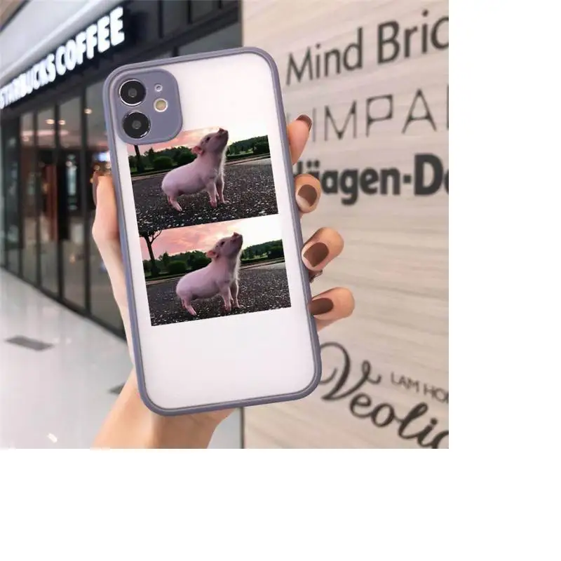 

Pink Pet Cute Little Pig Lovely animal Phone Case matte transparent For gray iPhone 7 8 x xs xr 11 12 pro plus max mini Clear