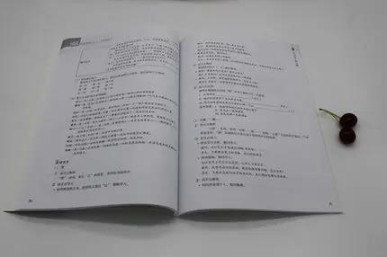 

Learn Chinese HSK Teacher's Book: Standard Course HSK 4A Chinese Teaching Book