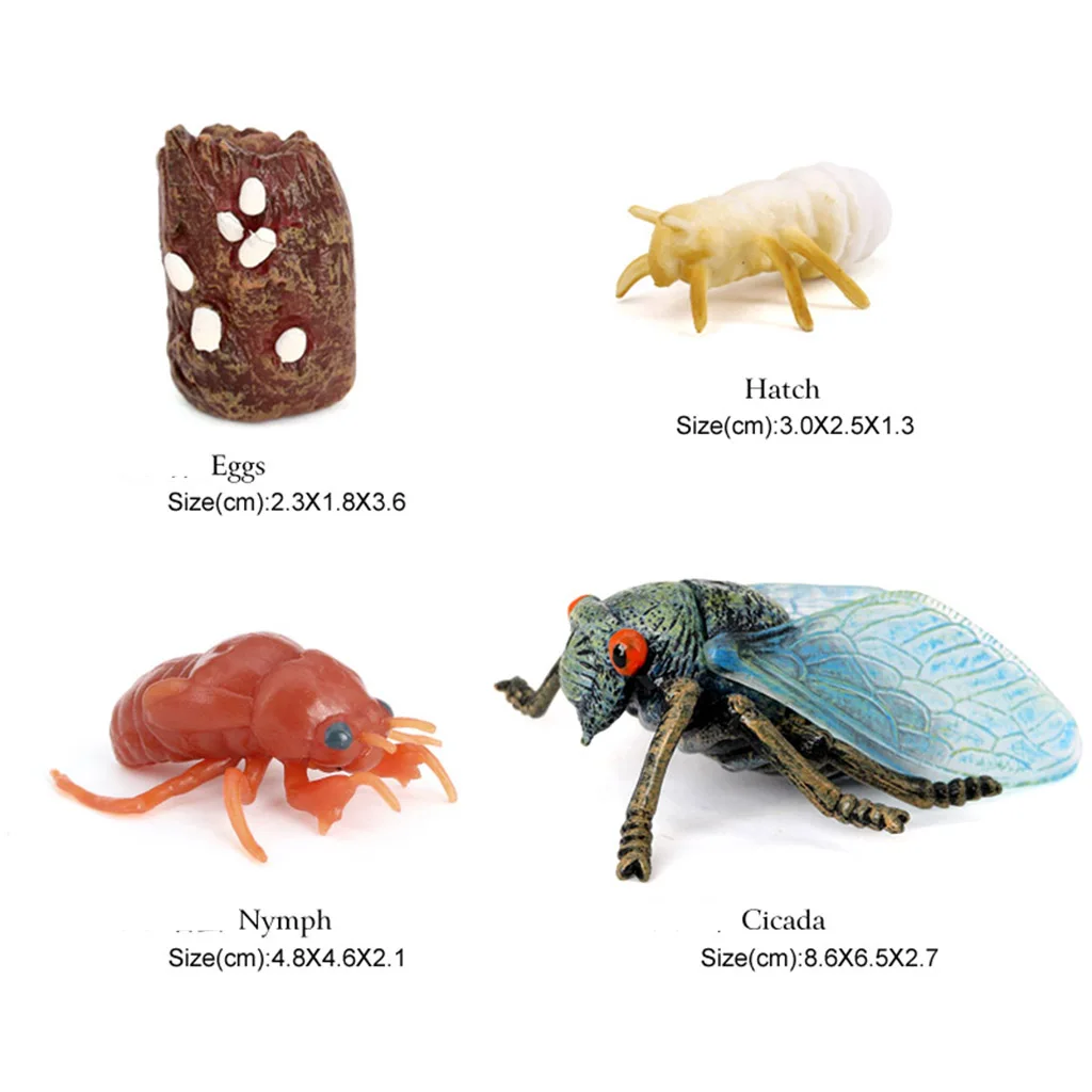 

4Pcs Assorted Plastic Insects Cicada Bug Figures Model Kids Educational Toys