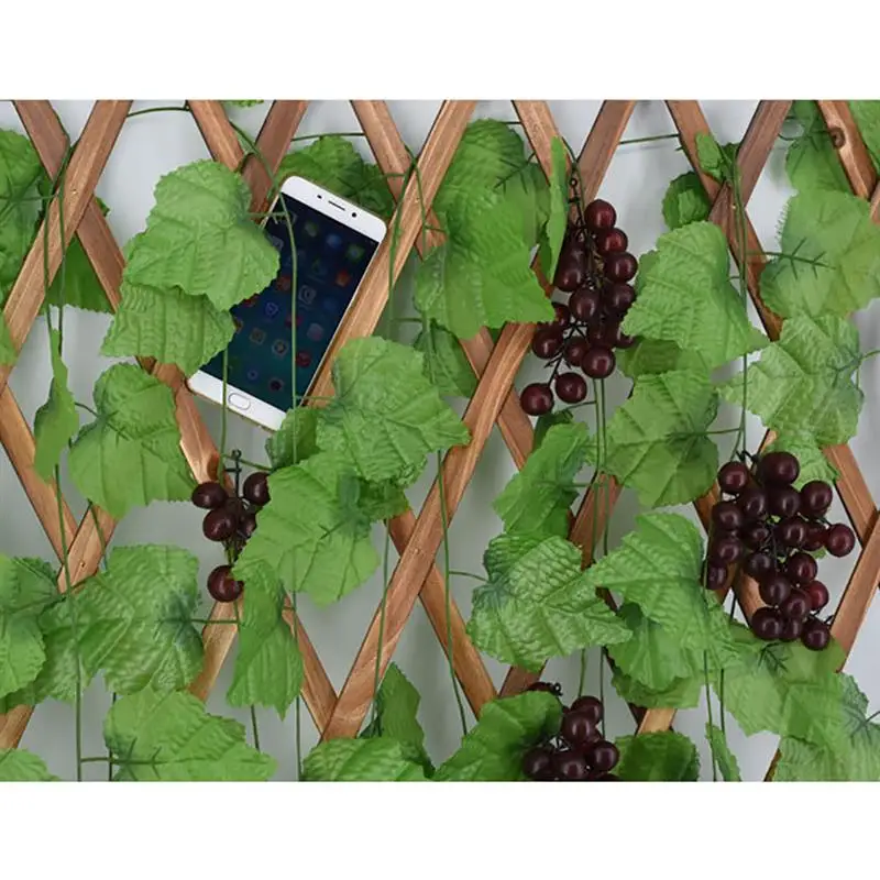 1 шт. листья винограда ротанга 10 видов | Дом и сад