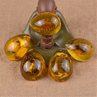 scorpion insect burmese amber pendant insect specimen fashion creative dropshaped second generation beeswax diy necklace pendant