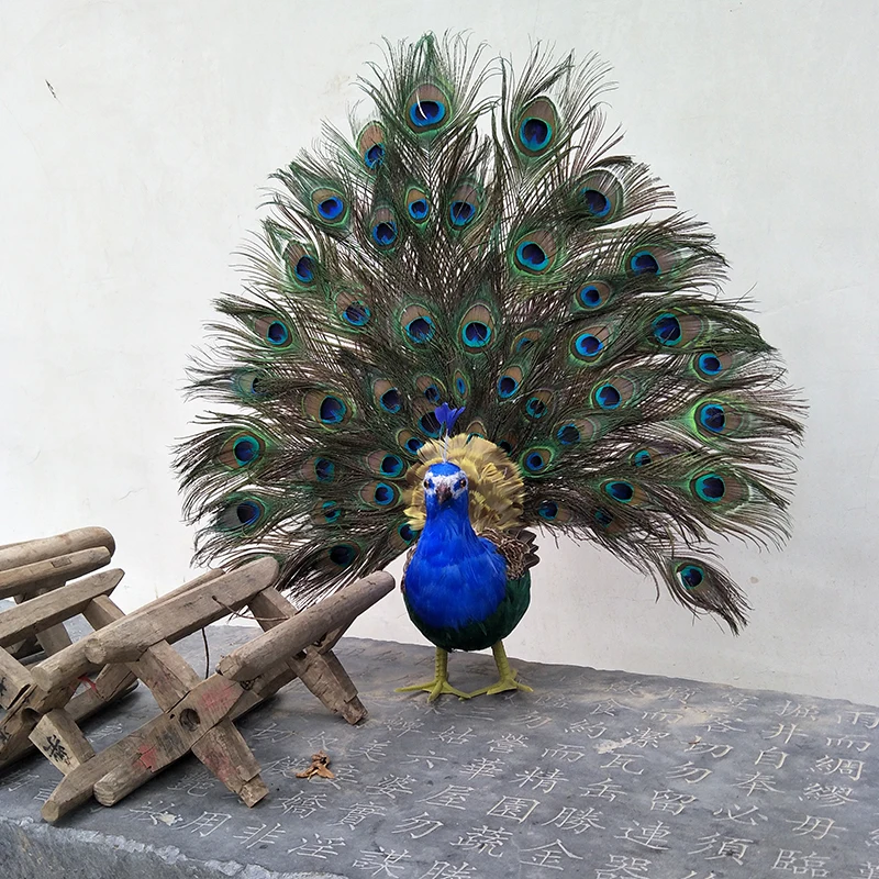 Nuevo Modelo de pavo real de espuma y pluma, regalo colorido de p&aacute;jaro Pavo real de 65x60cm, d0030-0