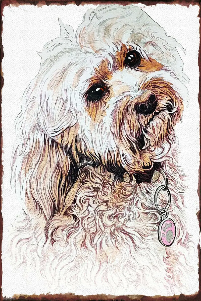 

Poodle Portrait Tin Sign Tin Plates Wall Decor Room Decoration Retro Vintage Metal Sign For Art Cafe Pub Home Club Man Cave