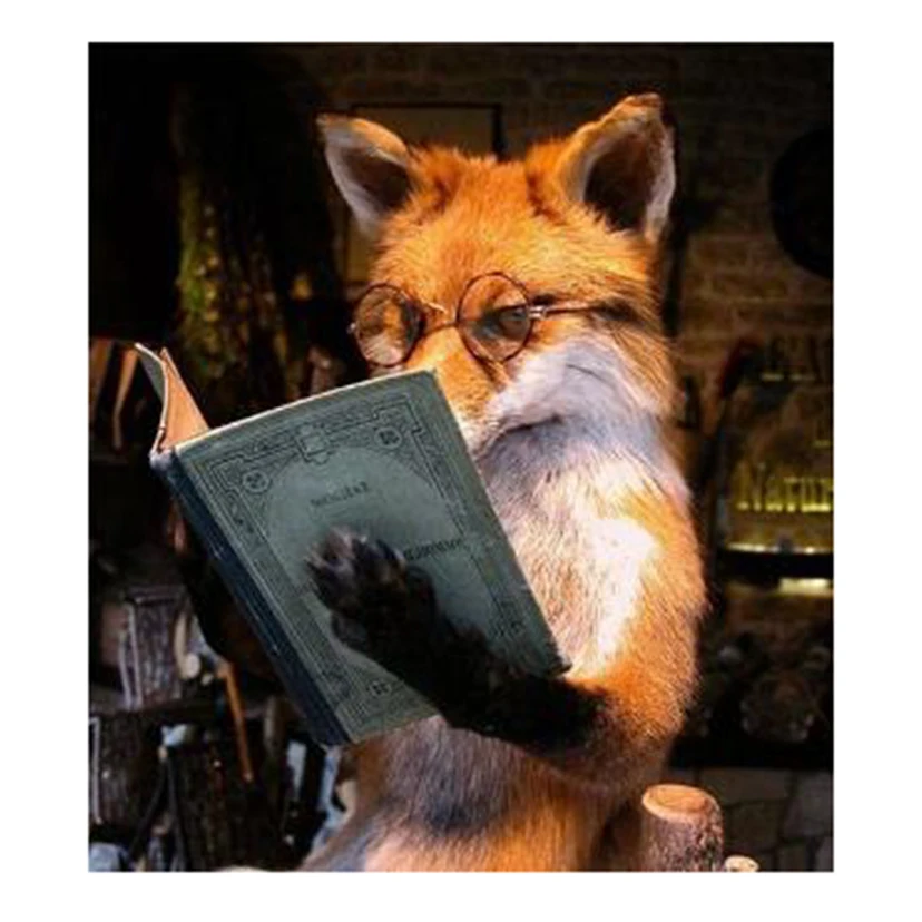 5D сделай сам полностью круглая/квадратная алмазная живопись лиса книга для