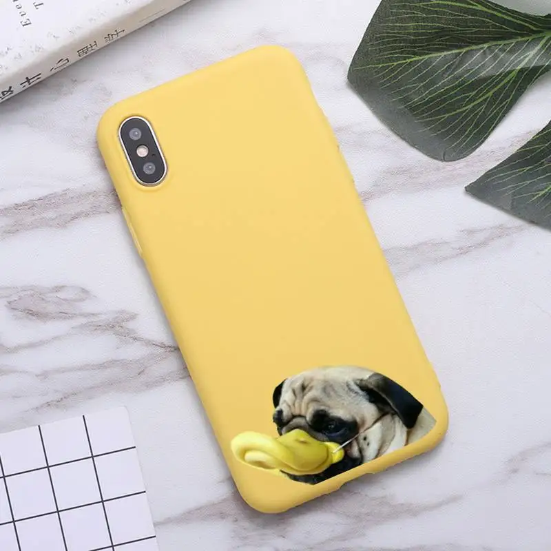 

funny bulldog Cute animal art luxury Phone Case funda Candy Color for iPhone 6 7 8 11 12 s mini pro X XS XR MAX Plus