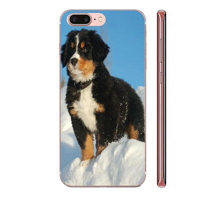 Soft TPU Stylish Case Bernese Mountain Dog For Apple iPhone 4 4S 5 5C 5S SE SE2 6 6S 7 8 11 Plus Pro X XS Max XR | Мобильные