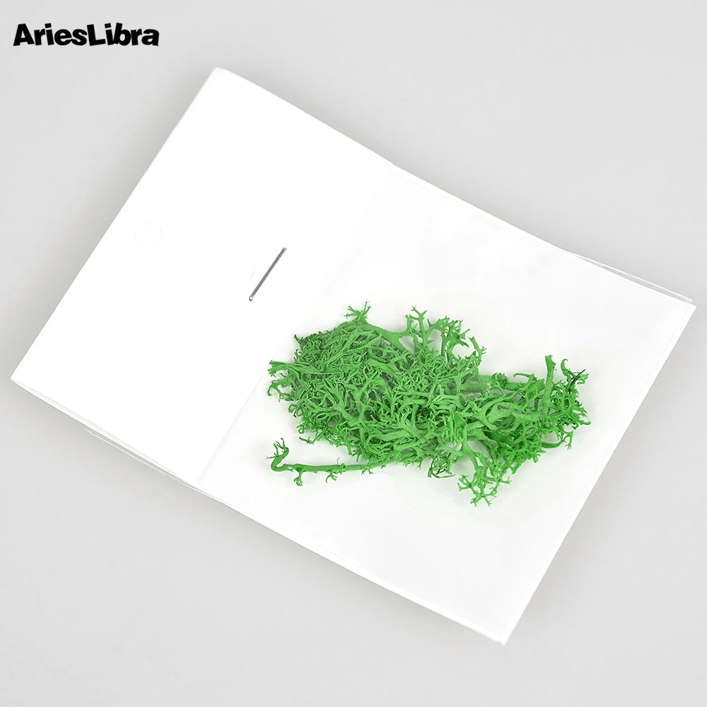 AriesLibra водные растения сохраненные цветы 3D сушеный цветок натуральный Сделай Сам