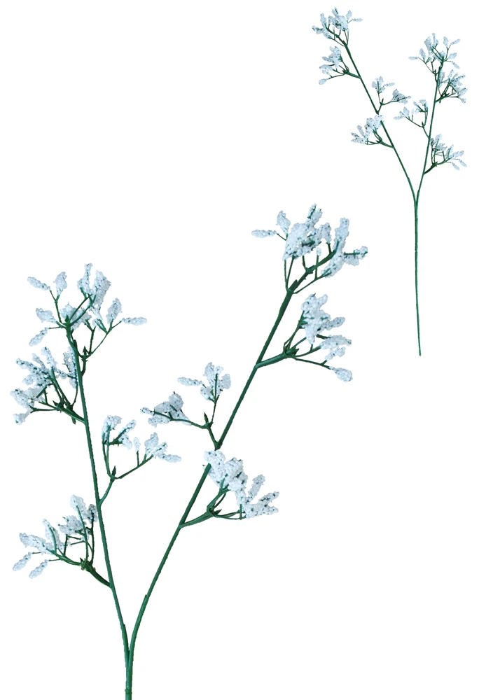 Гипсофила белая | Дом и сад