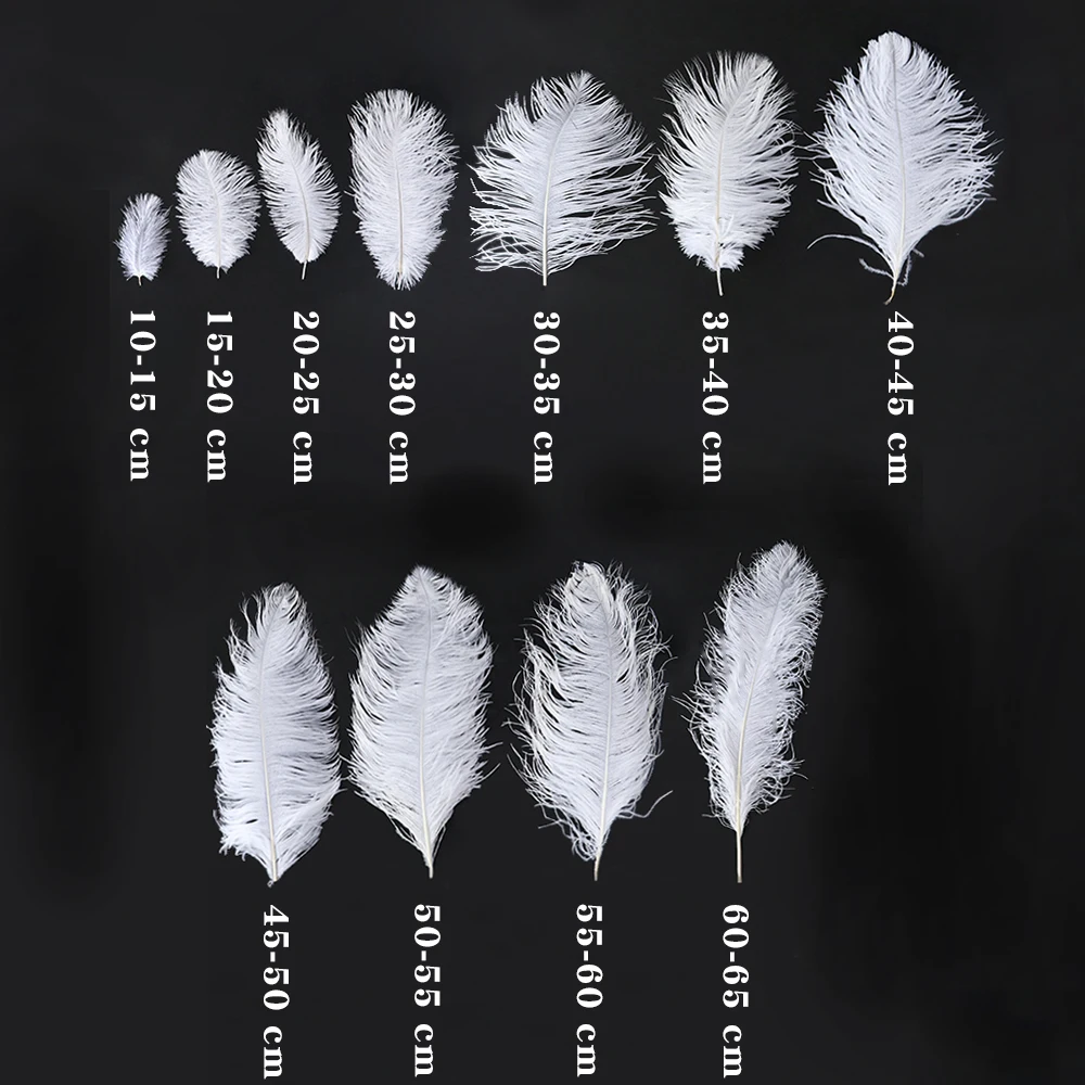 

10Pcs Fluffy Ostrich Feather Bulk White for Home Office Table Decoration DIY Crafts Wedding Party Plumes Lamp 6-27 inch