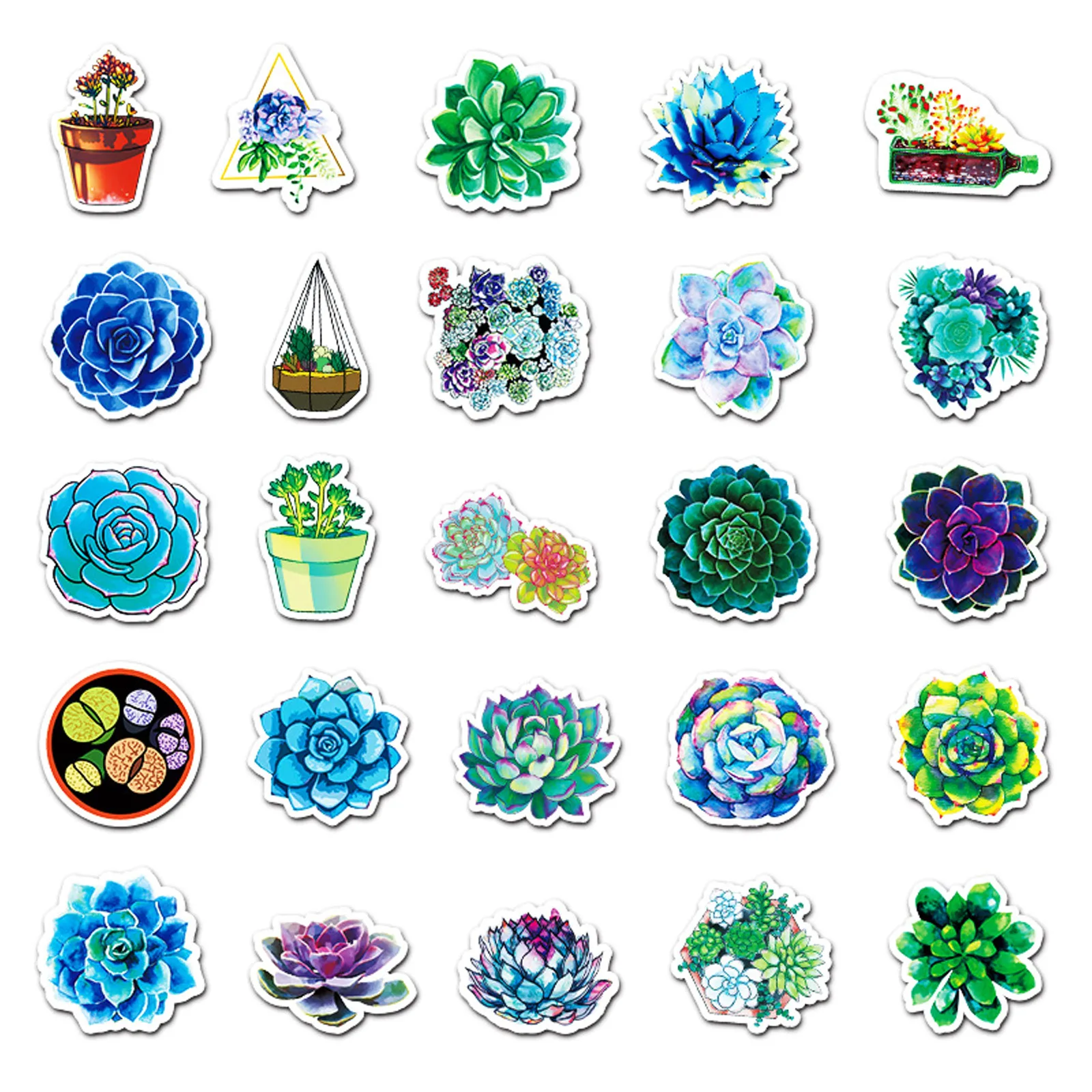50PCS Mixed Pretty Succulent Plant Stickers PVC Sticker Aesthetic Guitar Laptop Phone Bike Waterproof Graffiti Decal Toy | Дом и сад