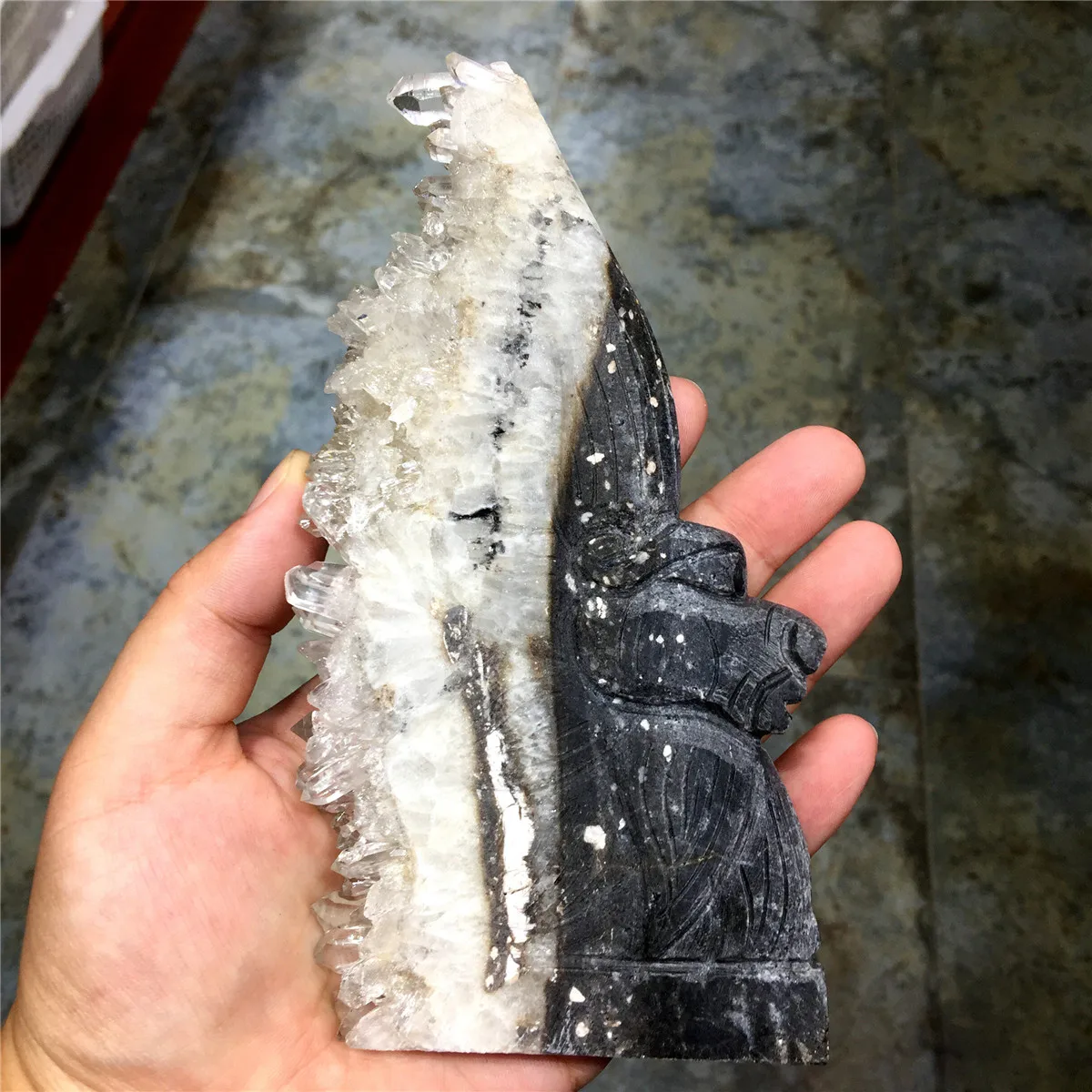 1 шт. милые натуральные белые хрустальные Стеганные зубы ручная резьба поделки