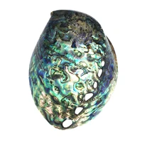 shell crafts natural abalone shell colorful abalone shell blue abalone shell abalone shell conch seashell aquarium landscape