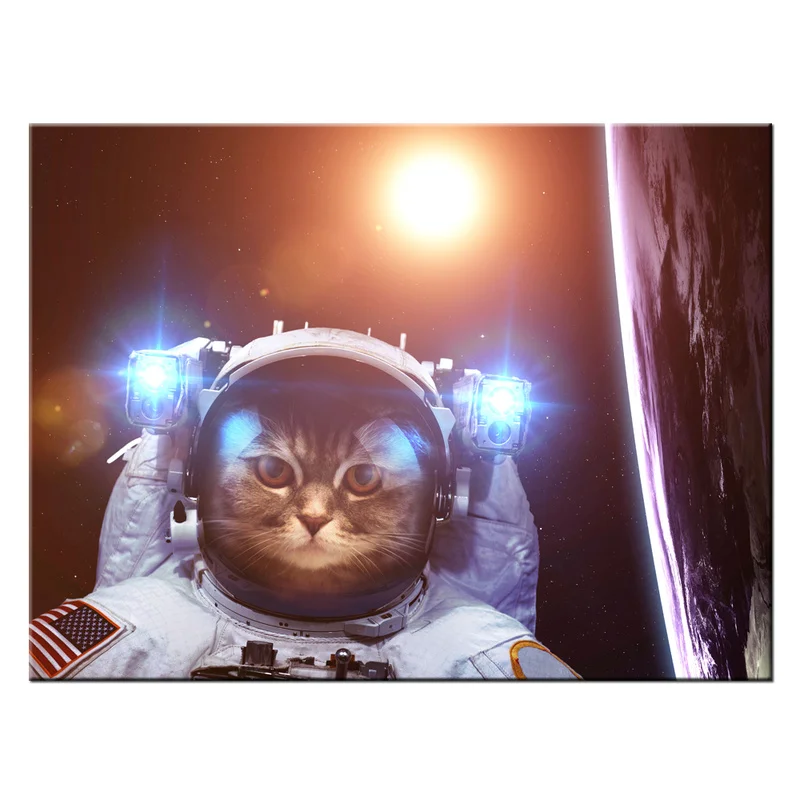 Постер с изображением кошки и астронавтов настенная Картина на холсте 1 шт.