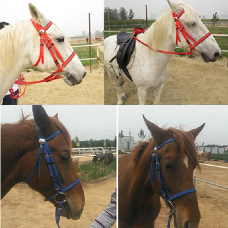 

Horse Riding Bridle Halters Horse Head Collar PVC Leather Horse Equestrian Horse Rider Equipment Equitation Equipement Cheval