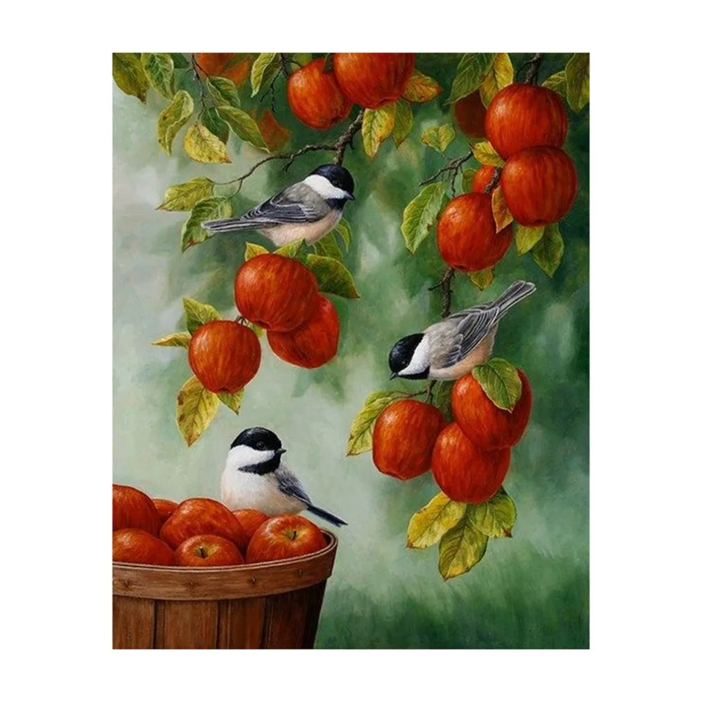 Горячая DIY птица и фруктовый узор Алмазная картина из смолы 30*38 см Вышивка крестом