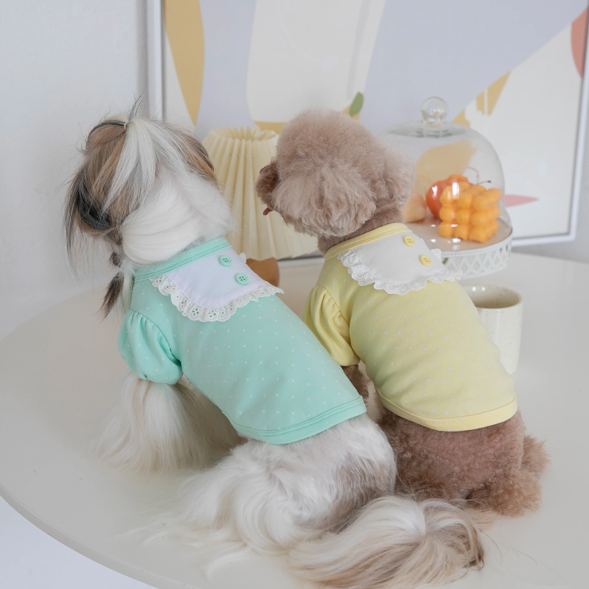 

Autumn and Winter Saliva Towel puff sleeve top Pet clothes Cat and Dog clothes Teddy Bear apron small and medium-sized dogs