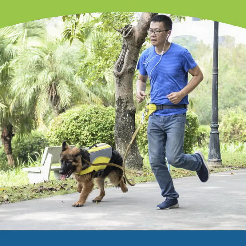 

Dog Treat Training Pouch Walking Running Waist Bag Fanny Pack with Built-in Poop Bag Dispenser SASI