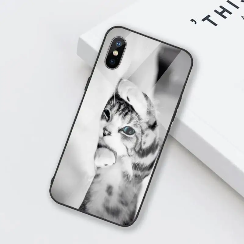 

cute cat Phone Case Tempered glass For iphone 6 6S 7 8 plus X XS XR 11 12 mini PRO MAX