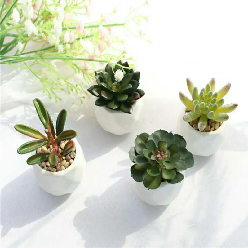 Оптовая продажа имитация суккулентов в горшке растений посылка действительно