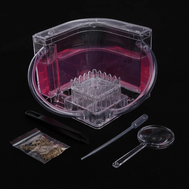 3D муравьиная ферма образовательный лабиринт система живого кормления муравьев