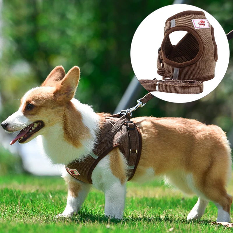 

Breathable Cat Harness Adjustable Easy Control for Cats Mesh Pet Harness Running Training Belt for Cats or Puppies Accessories