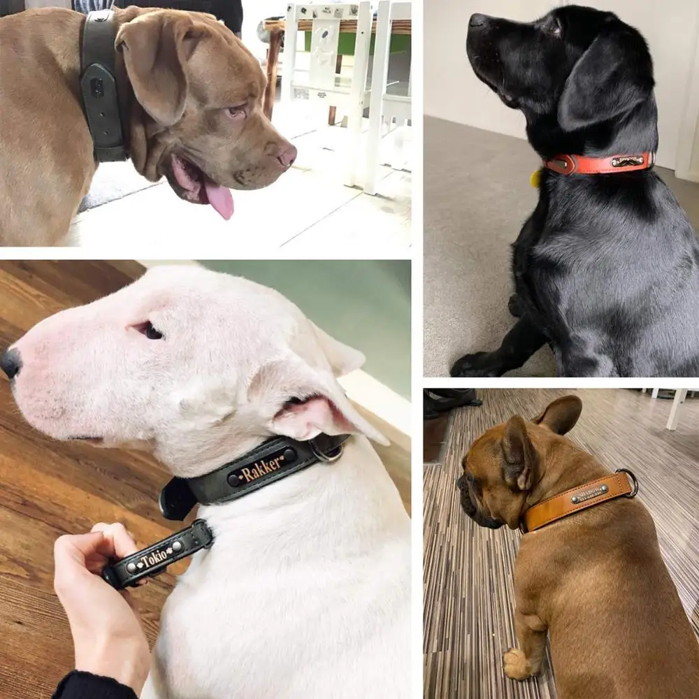 Ошейник для собак кожаный с гравировкой MP0100 товары домашних животных кошек | Дом