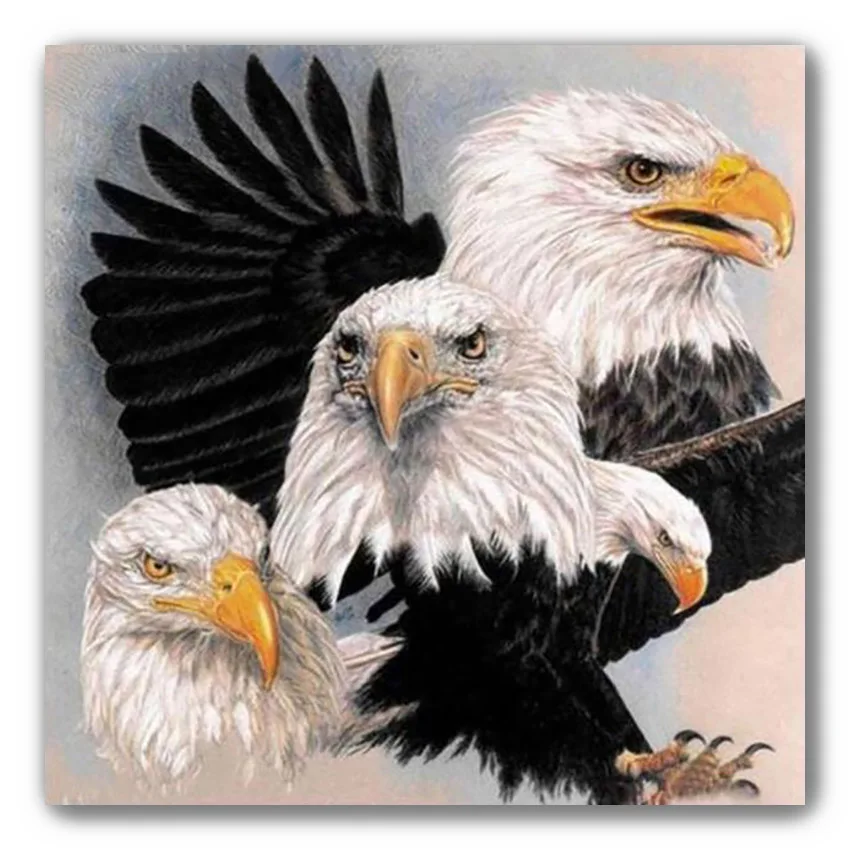 Алмазная живопись полный квадратный Орлан алмазная белоголовые Орлы полная