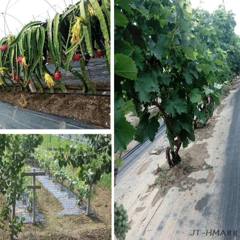 

Garden Weed Barrier Lawn Weed Control Orchard Landscape Plant Cloth Cover