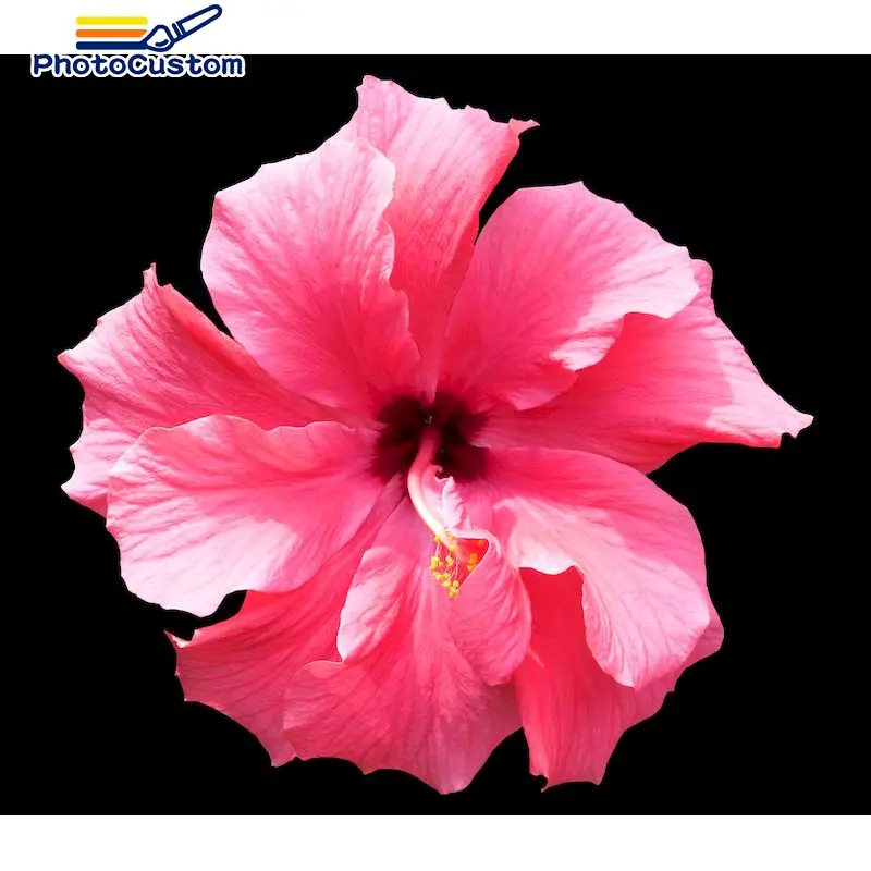 

PhotoCustom Embroidery 20x25cm 5d DIY Diamond Painting Full square Flowers hobby Pattern Home Decor Rhinestone Handmade Frameles