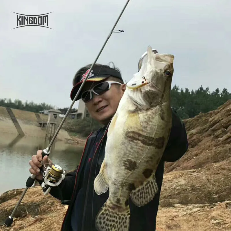 

Kingdom Leave VIB Fishing Lure Sinking Crankbaits 5.6g 50mm 10.5g 65mm Vibration Artificial Hard Bait Far Casting Fishing Tackle