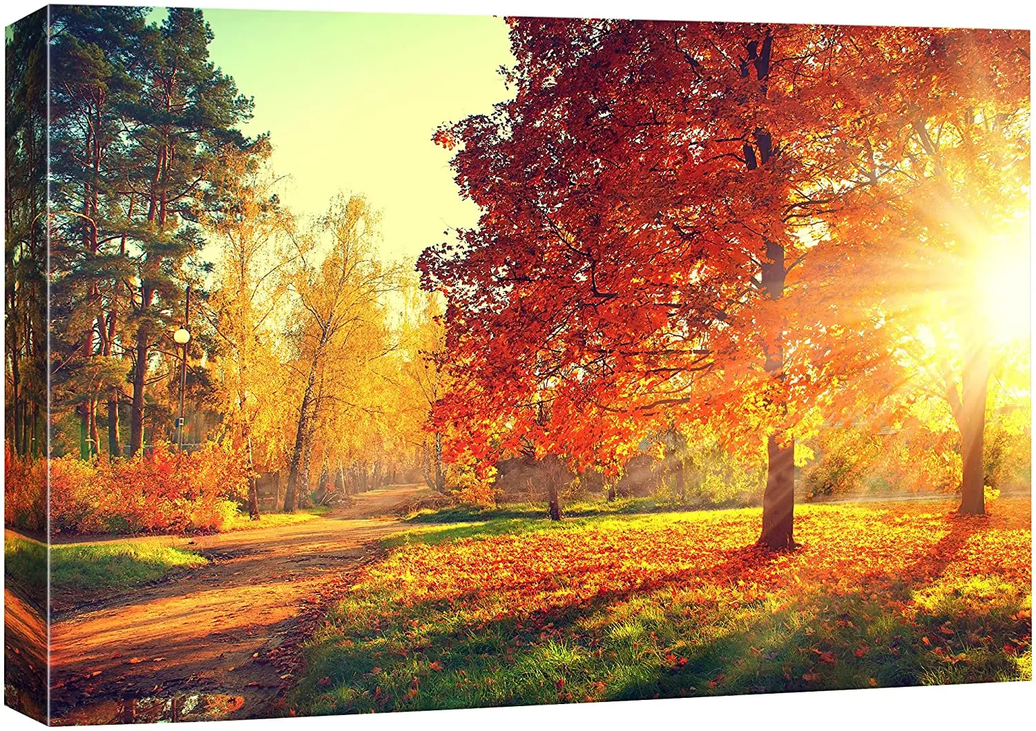 

wall26 Autumn Scene Fall Canvas Art Wall Art 16" x 24"