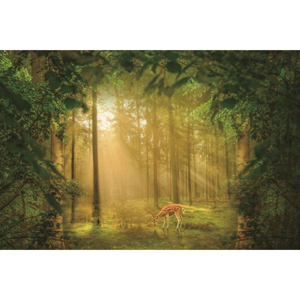 

Yeele Dreamy Forest Deer Green Grassland Scenery Baby Portrait Backdrop Vinyl Photography Background For Photo Studio Photophone